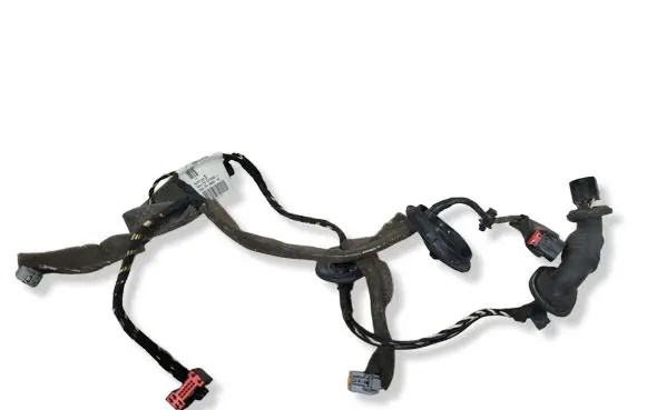 Rear door wiring loom