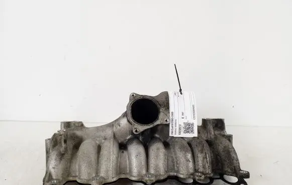 Volkswagen Golf V Intake manifold 03G129713