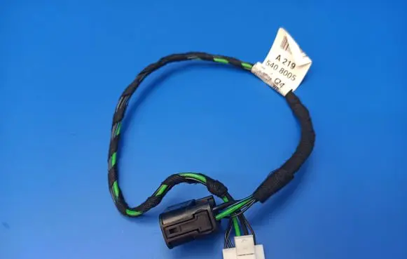 Mercedes-Benz CLS C219 Rear door wiring loom A2195408005