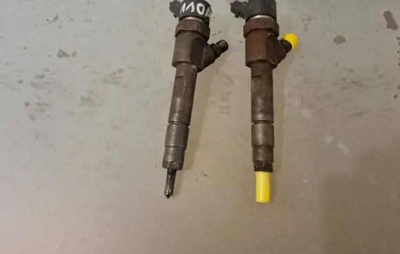 Renault Scenic II - Grand scenic II Fuel injector 0445110110A