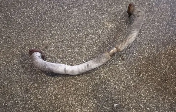 Peugeot 4007 EGR valve line/pipe/hose