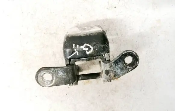 Rear door lower hinge