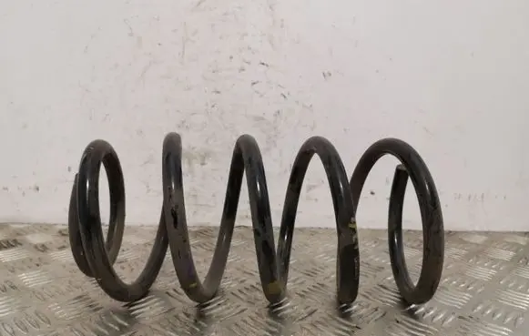 Hyundai Santa Fe Rear coil spring