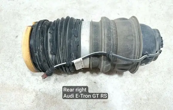 Audi E-tron GT Rear air suspension bag/shock absorber 9J1971289C