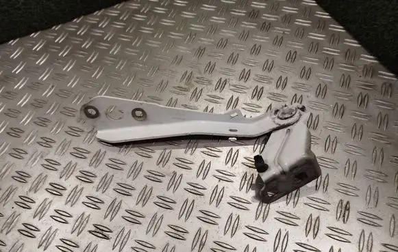 Renault Master III Engine bonnet/hood hinges 654000006R