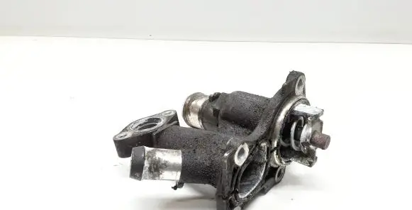 Thermostat/thermostat housing