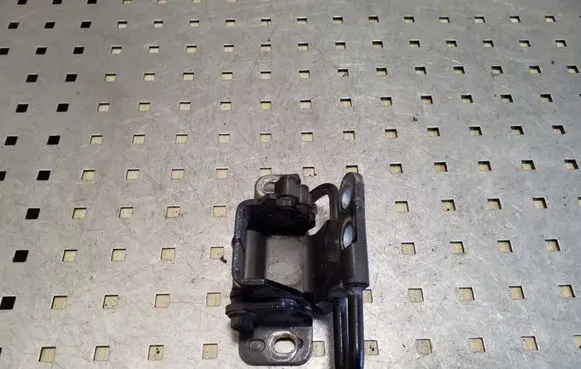 Volkswagen Phaeton Front door lower hinge 3D4831411C