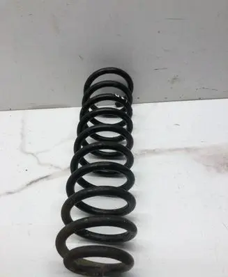 Volkswagen PASSAT B5.5 Rear coil spring