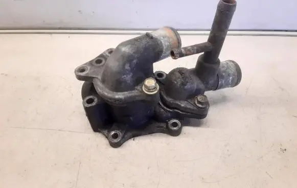 Thermostat/thermostat housing