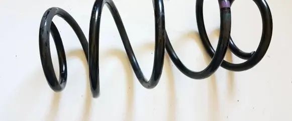 Nissan Qashqai Front coil spring 54010JD02D