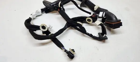 Renault Clio V Front door wiring loom 241245889R
