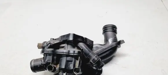 Thermostat/thermostat housing