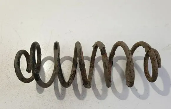 Rear coil spring