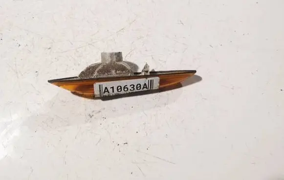 Front fender indicator light