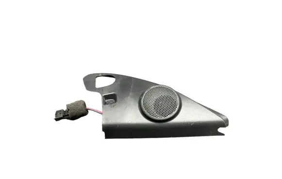 Front door high frequency speaker