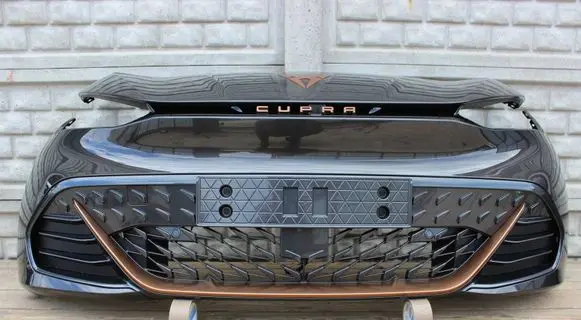 Cupra Born Front bumper 10E807221D
