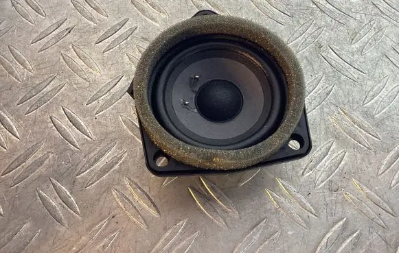Front door speaker