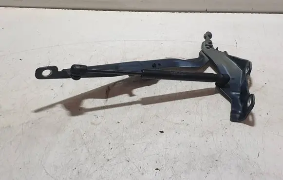 Volvo S80 Engine bonnet/hood hinges 301AAD8E