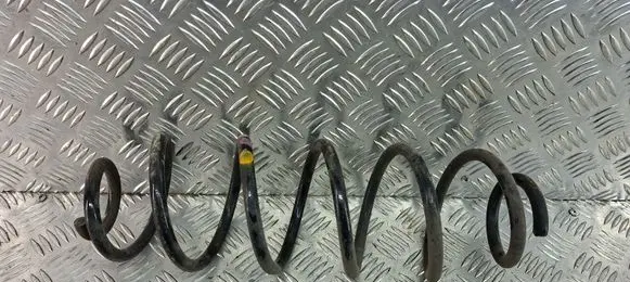 Rear coil spring