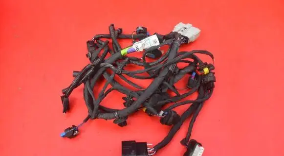 Tesla Model S Other wiring loom 3035338-01-C