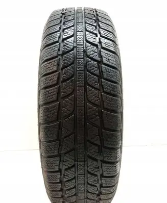 Ford Fusion R14 winter tire 