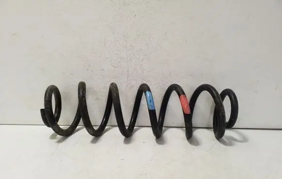 Rear coil spring