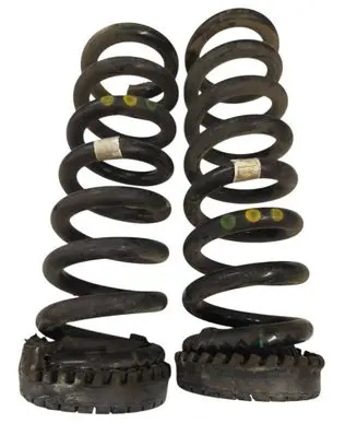 Rear coil spring
