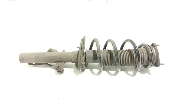 Front shock absorber with coil spring