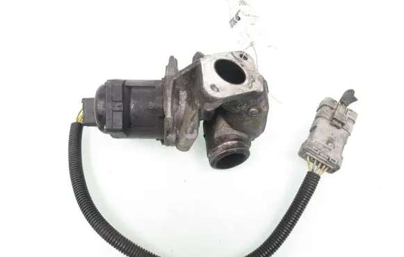 EGR valve