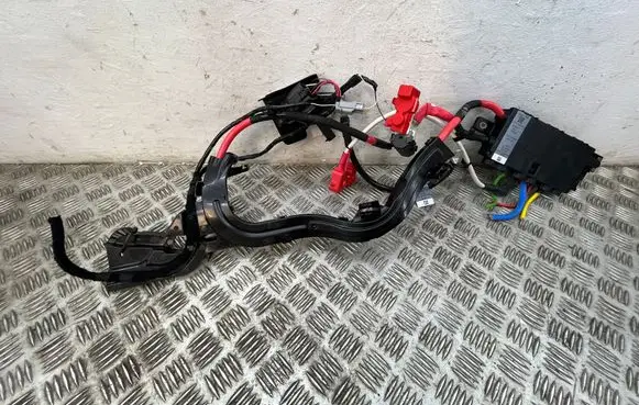 Positive wiring loom
