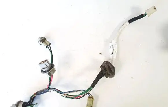 Subaru Outback Tail light bulb cover holder