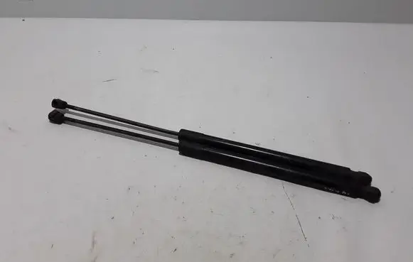 Fiat Tipo Tailgate strut 52063501