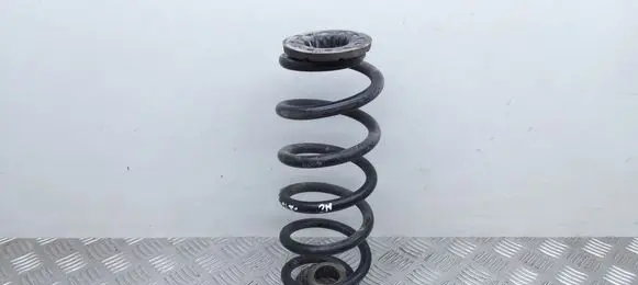 Rear coil spring