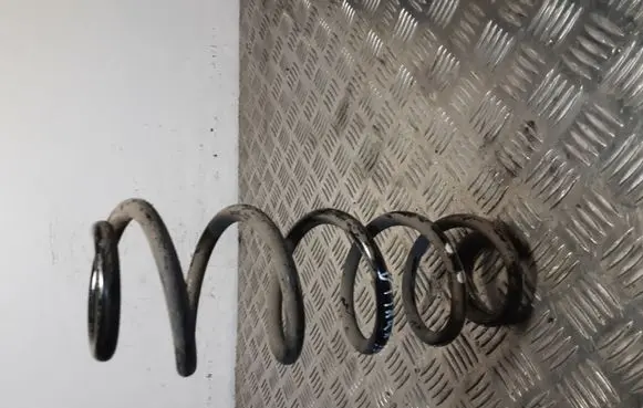 Suzuki Vitara (LY) Rear coil spring