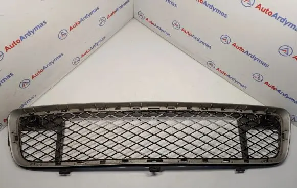 BMW X5 E70 Front bumper lower grill 51117171348