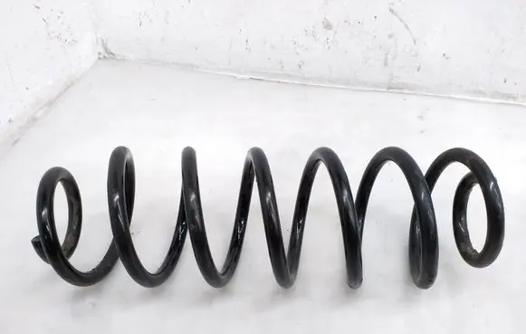 Rear coil spring
