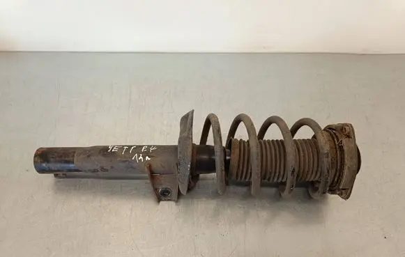 Skoda Yeti (5L) Front shock absorber with coil spring 