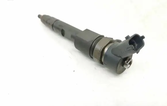 Suzuki Grand Vitara II Fuel injector 8200389369 0445110230