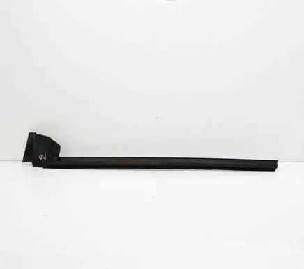 Tesla Model 3 Door glass trim 109049600E