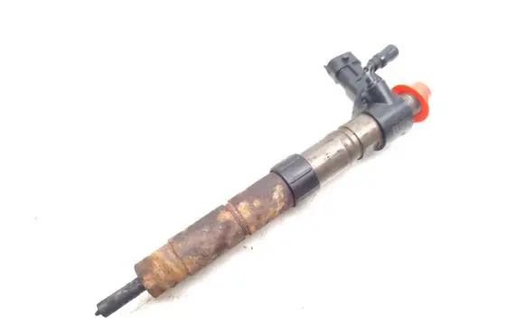 Citroen C-Crosser Fuel injector 9659228880 0445115025