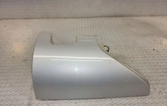 Renault Kangoo II Rear/tail light trim molding 20000360