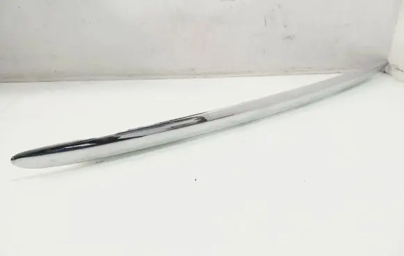 Trunk door license plate light bar