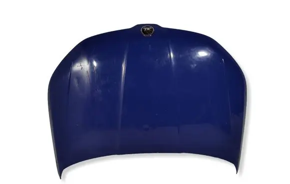 Skoda Kodiaq Engine bonnet/hood 