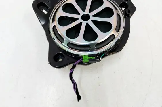 Front door speaker
