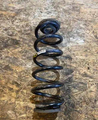 Opel Astra K Rear coil spring 13369945