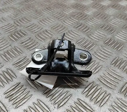 KIA Soul Rear door lower hinge 79410D8000