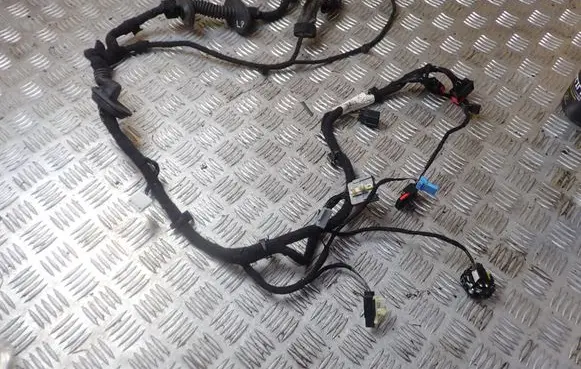 Jaguar XF X250 Front door wiring loom/harness boot BX2314B121 13226647
