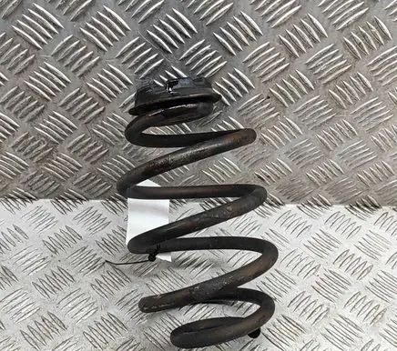 Nissan Leaf II (ZE1) Rear coil spring 550205SJ1B