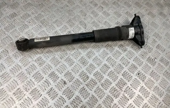Peugeot 2008 II Rear shock absorber/damper 9842566580