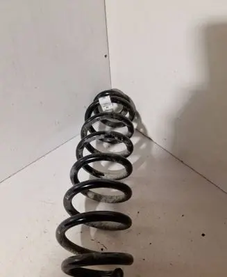 Rear coil spring